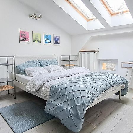 Lion Apartments 克拉科夫 外观 照片